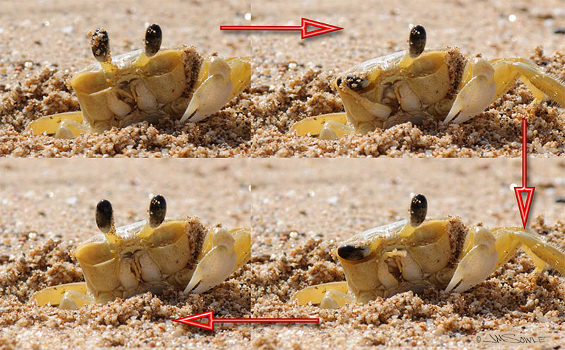 GhostCrabWiper.jpg - Ghost Crab wiper blades in action!