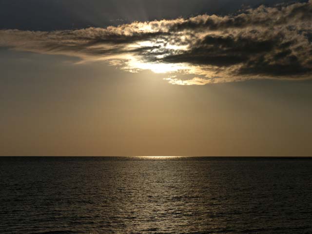 P3080501A