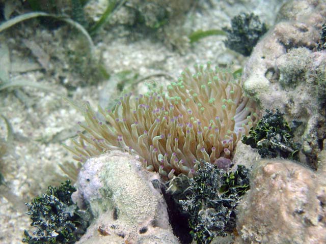 P3110142a2