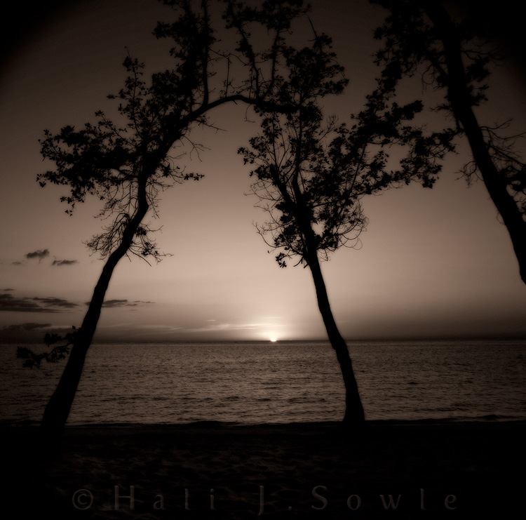 2011_11_SandalsWhitehouse-10591-Edit2.jpg - Artsy take on another susnet.