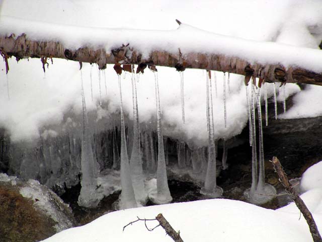 d24cMtWillardTrailIcicles