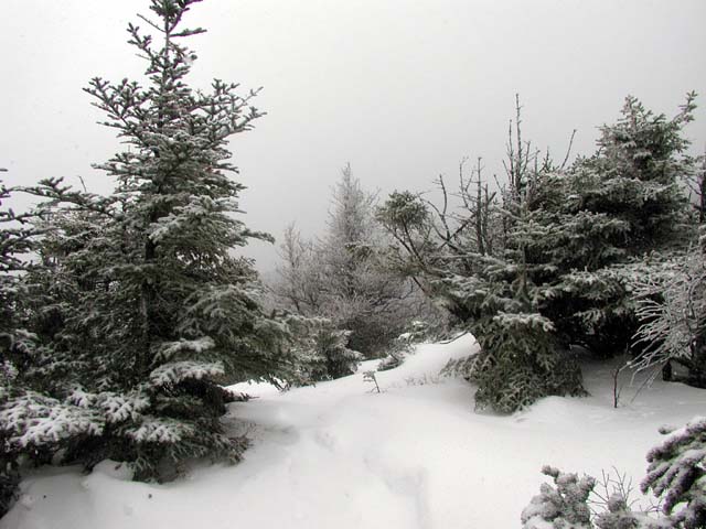 d25eMtAvalonSummitView