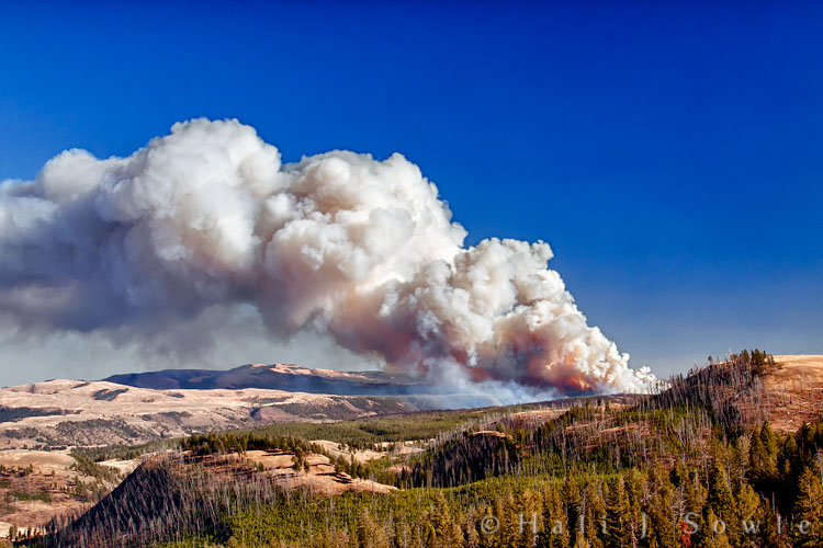 2010_09_28_Yellowstone-10515-Edit750.jpg - The Antelope wildfire was started by a lightning strike on the slope of Mount Washburn  and discovered on Sept 14, 2010.  The fire grew to over 5500 acres and was the largest of the 11 fires in Yellowstone this year.  We took a drive around  Blacktail loop the second day we were at Yellowstone.  It wasn't very exciting.  I had read it was a haven for wildlife, but all we saw was one sleepy Bison.  Maybe it was the time of day or maybe we just made too much noise on the unpaved road.  But we saw a small wisp of smoke as we drove which rapidly grew to this plume, you can see how hot the fire was by the red and orange in the smoke.  We were a goodly distance from the fire, but it did close a portion of the loop road that day between Tower-Roosevelt and Canyon Village.