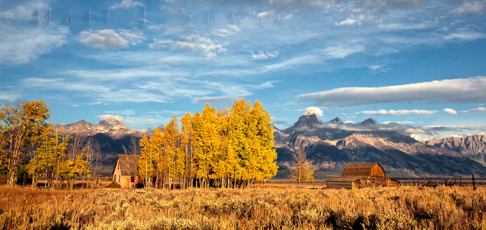 2010_10_06_Yellowstone-10086-crop-Edit750.jpg - We went out to photograph the iconic Mormon Row Barns and found a group of photographers standing in the dewy grass doing the same.  It wasn't a spectacular sunrise but the clouds were pretty and the light was soft and I couldn't ask for much more.