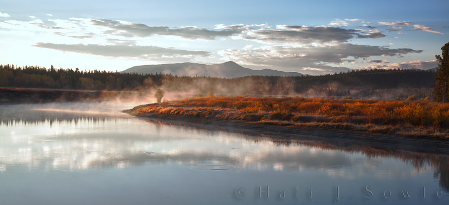 2010_10_07_Yellowstone-10059_HDR_edit750.jpg - The morning was cold, the mist rising from the river and the elk bugling in the predawn light.   It was a perfect morning at the end of a fantastic trip.
