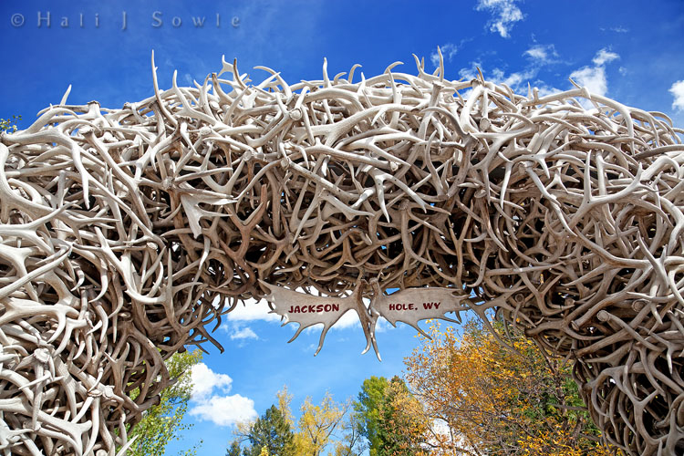 2010_10_07_Yellowstone-10179-Edit750.jpg - An antler arch in Jackson Hole, WY, each of the entrances to this little park in the center of the town had an antler arch made with hundreds of Elk Antlers that are picked up by boy scouts every year (elk, like moose shed their antlers every fall) to be made into arches like this