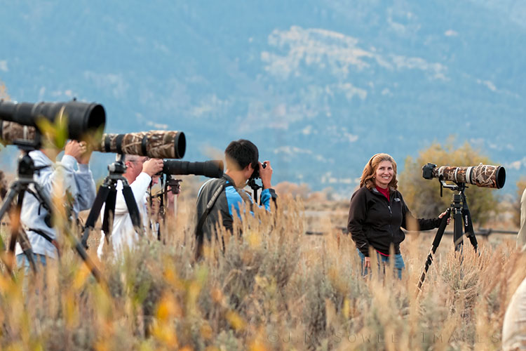 _MIK6795.jpg - Here is shot of Hali in the line-up -- waiting for a Moose to stand up.  Seriously.  We only waited for about an hour before the bull Moose arose.  Others there waited about 2.5 hours.  At least the weather was nice!  This was in the Grand Tetons National Park, near Jackson Hole.