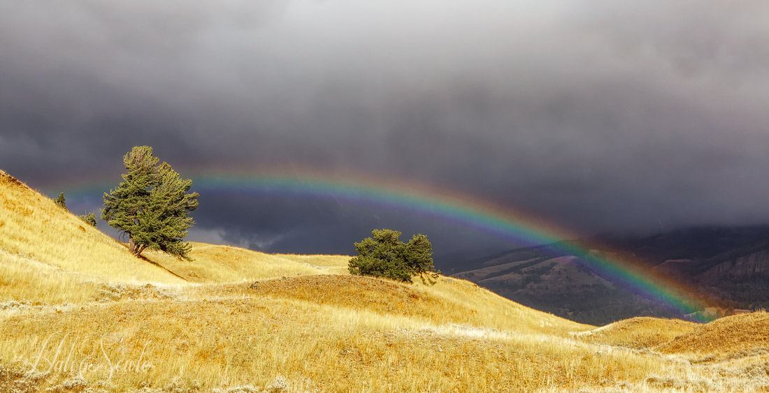 2015_09_16_Yellowstone-10727-Edit1000.jpg - I know that pot-o-gold is somewhere out there.  Rainbow at the northern end of the Lamar Valley.