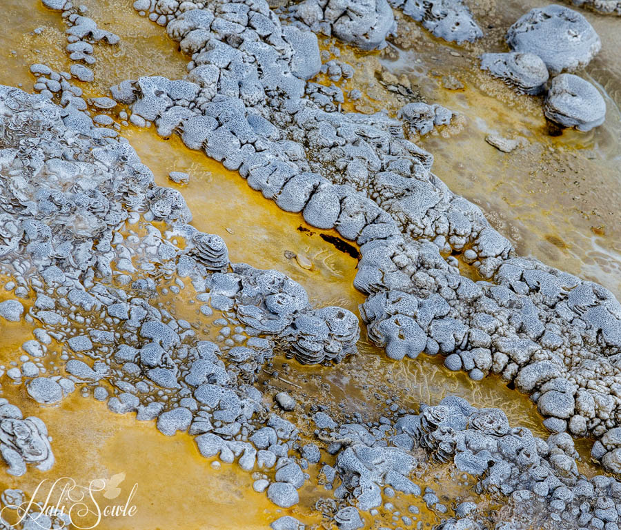 2015_09_18_Yellowstone-10432-Edit1000.jpg - A mud puddle at one of the geysers.  My goal was to try to get one of the "plops" of mud exploding up but we had geysers to see and miles to walk.