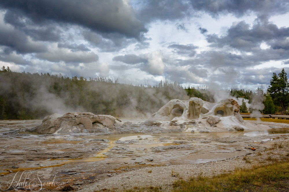 2015_09_18_Yellowstone-10576-Edit1000.jpg - One of the most unusual formations that we saw. This is Grotto Geyser - its interesting shape is believed to be due to geyserite deposition on tree trunks ("Geyserite is a form of opaline silica that is often found around hot springs and geysers" -Via Wikipedia).
