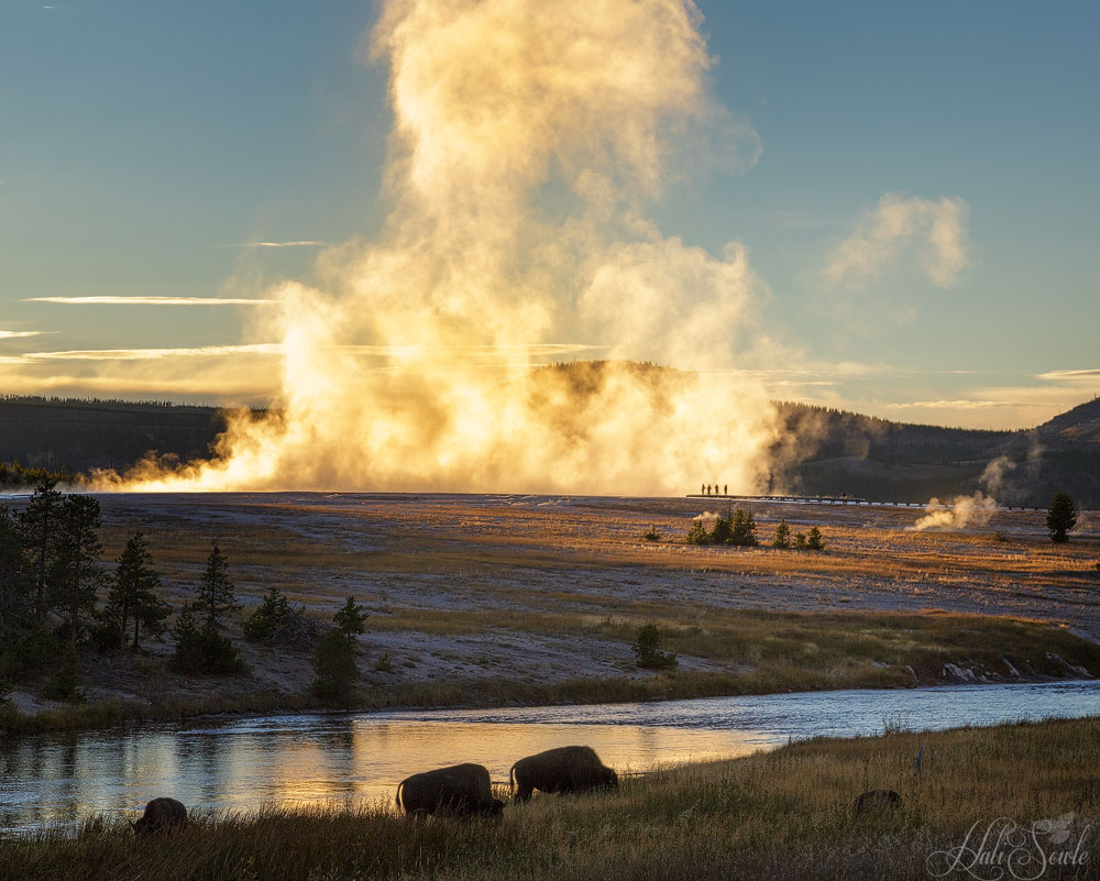2015_09_18_Yellowstone-10904-Edit1000.jpg - As the sun went down we headed back to Gardiner and stopped to photograph the sun lighting up this geyser, I am not sure if it is Biscuit or Midway Geyser.