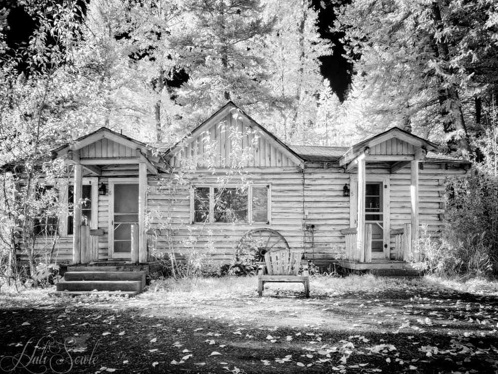 2015_09_19_Yellowstone-10309-Edit1000.jpg - Two of the cabins at the Shoshone Lodge, we didn't stay in either one of these but ours were similarly rustic but  comfortable.  Infrared image 720nm