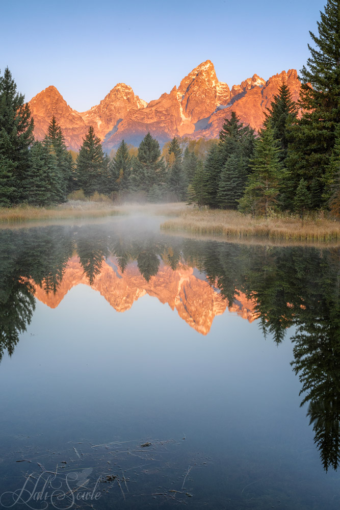 2015_09_23_Yellowstone-10026-Edit1000.jpg - We got up early the first full day we were in the Grand Tetons and went to catch sunrise at Schwabachers Landing, with what felt like 100 other photographers.  I wandered away from the main viewing area to the pond at the end of the path and found my spot with about 4 other photographers.  The sunrise wasn't anything special.  There were no clouds and no alpen glow on the mountains, but the mist rising from the stream caught my eye, and the wind hadn't picked up (nor had the resident beavers that we living in their lodge come back out) so the water was still and beautiful.