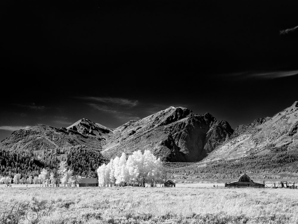 2015_09_24_Yellowstone-10278-Edit1000.jpg - The Barns and houses of Mormon Row in Grand Teton National Park.  Infrared Image, 720nm