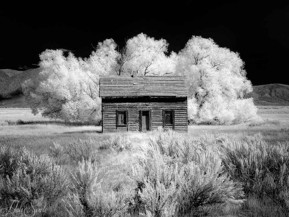 2015_09_25_Yellowstone-10193-Edit1000.jpg - Last time we drove from Jackson to Salt Lake City we stopped to shot this abandoned farm house somewhere in Wyoming.  I was excited when we found it again and the tree's behind it made it a nice image in Infrared.  Infrared Image, 720nm.