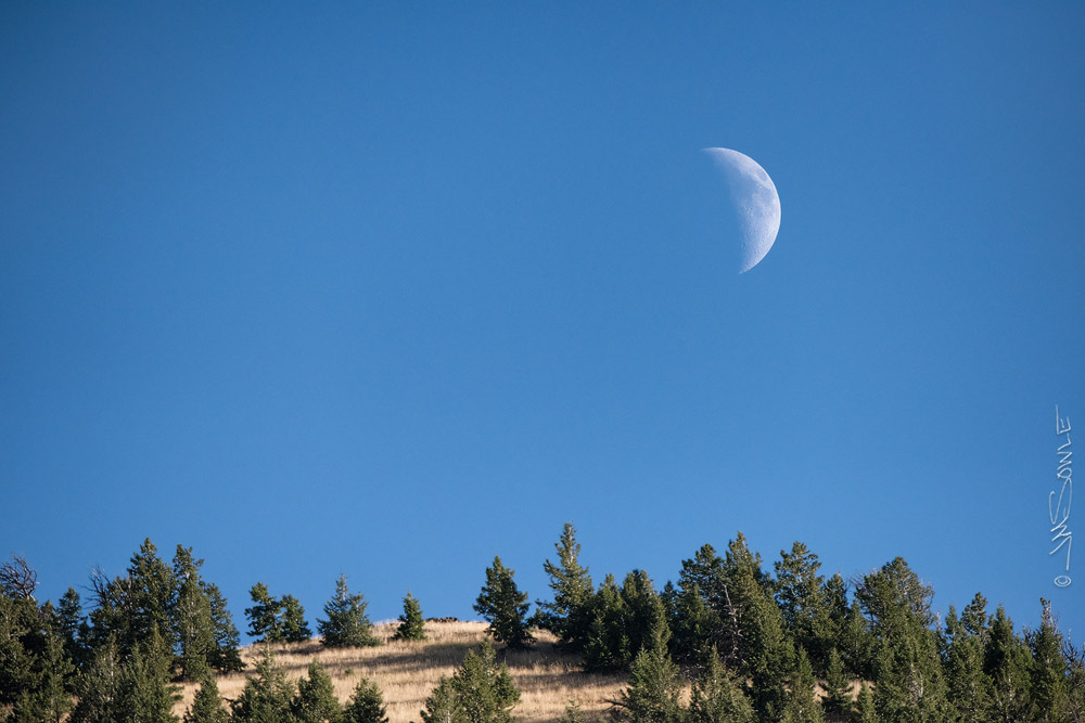 _JMS1413.jpg - The moon setting over the Wapiti Ridge, as shot from the North Fork Highway.  Shoshone National Forest.
