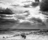 2015_09_14_Yellowstone-10481-Edit1000