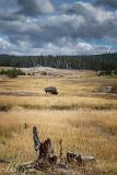 2015_09_18_Yellowstone-10450-Edit1000