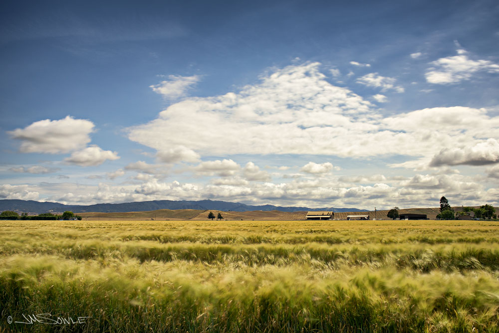 _JMS0677.jpg