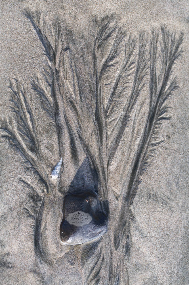 CostaRica2013_21a.jpg - Patterns in the sand as the tide receeded.