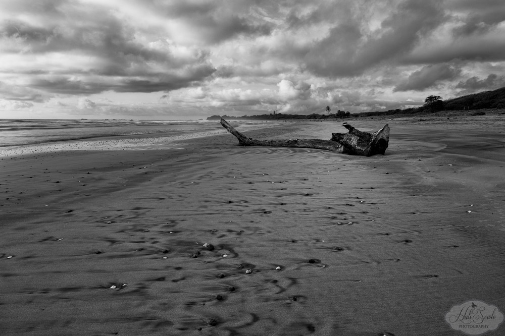 CostaRica2013_25a.jpg - Another shot of the beautiful beach.  The sand was soft and there were plenty of beautiful shells.