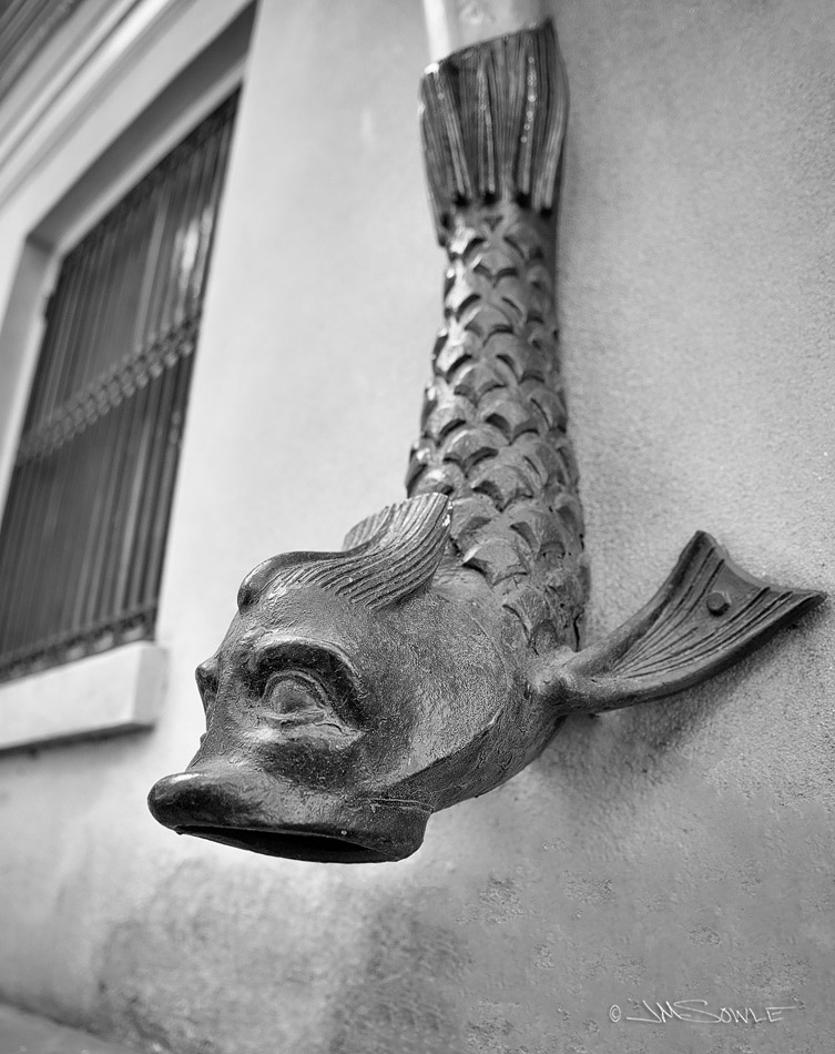 _JMS0088.jpg - There are some wonderful decorative down spouts around Savannah.  This is a picture of one of them. 