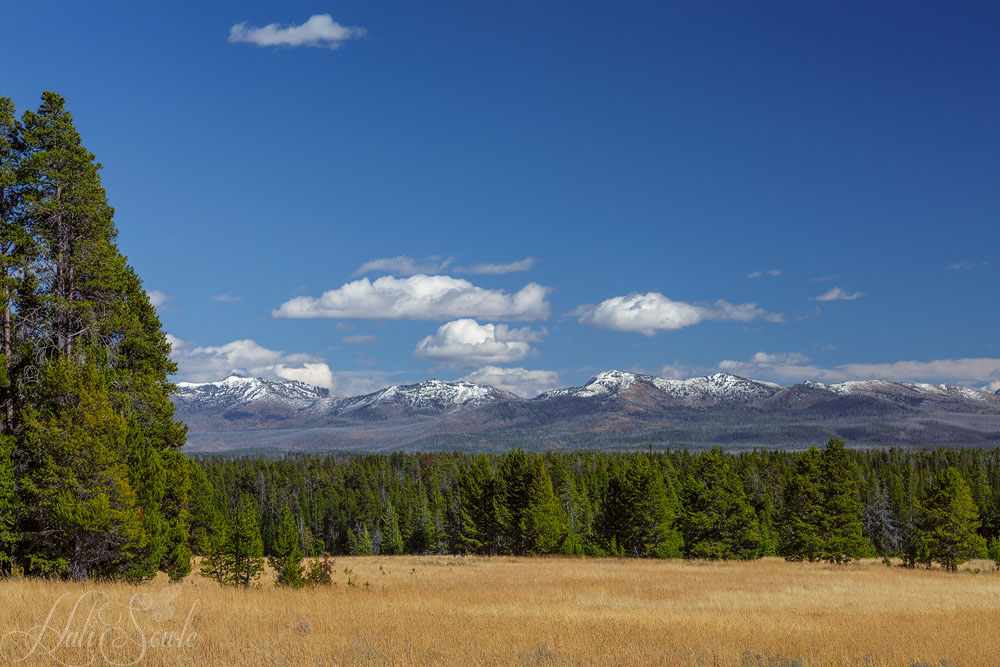 2015_09_19_Yellowstone-10279-Edit1000.jpg - Mountains covered in snow from the snowy weather that closed both Dunraven Pass and the East Entrance road the previous days.  We were a bit concerned when we heard the road had closed since we needed to get through there to the Shoshone Lodge where we staying next, just outside the East Entrance.  But the day we drove there it started out clear and cold but warmed up quickly.
