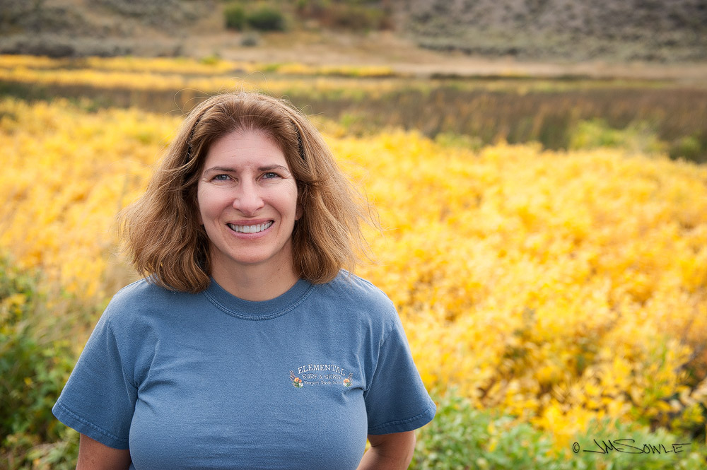 _JIM0015IC.jpg - There is a little spot along the Gardiner River (just before you reach the town) that has a large field of bushes that turn a vibrant yellow every Fall.  The peak color only lasts a few days, so you have to catch it just right.